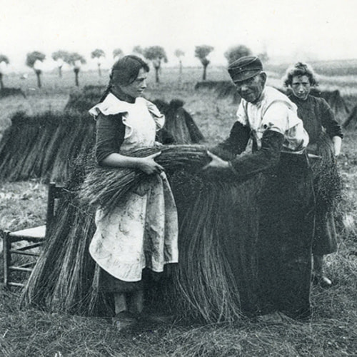 History of Unilin Panels - flax